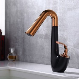 Elegant Swan Brass Basin...